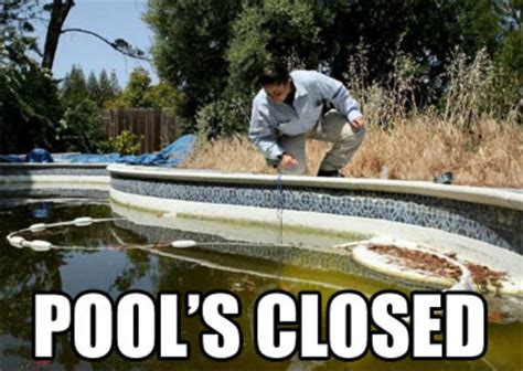 pool is closed meme|swimming pool closed meme.